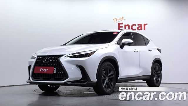 Lexus NX Premium, 2024