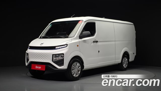 Geely SE-A2 Van 2 Seater, 2023
