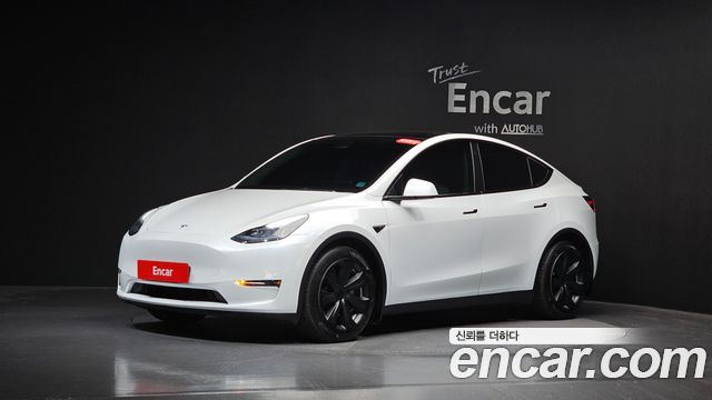 Tesla Model Y Long Range AWD, 2021