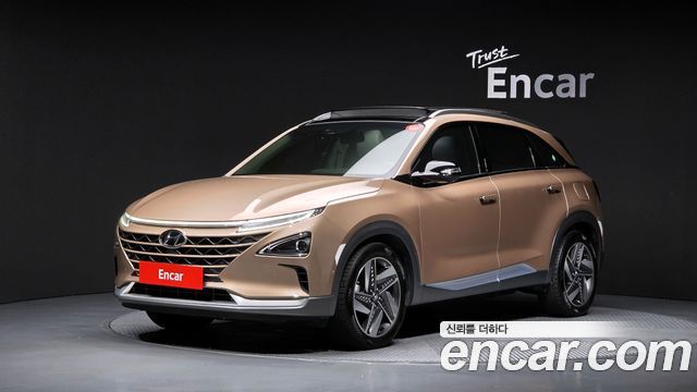 Hyundai Nexo Premium, 2021