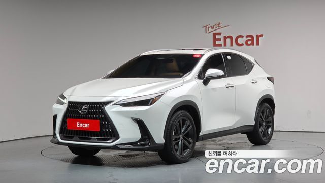 Lexus NX Premium, 2025