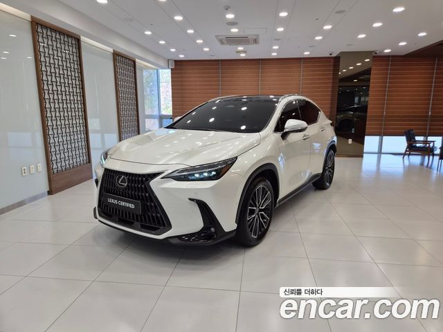 Lexus NX Luxury, 2024