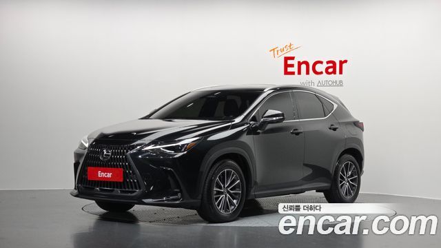 Lexus NX Premium, 2025