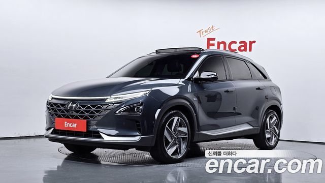 Hyundai Nexo Premium, 2020