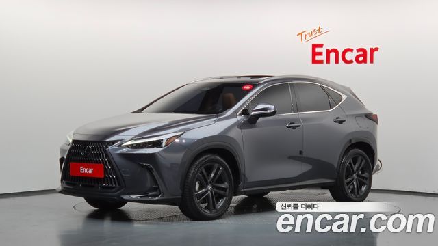 Lexus NX Premium, 2023
