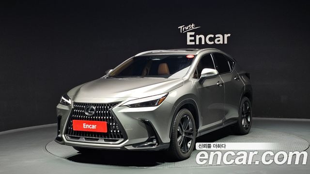 Lexus NX Premium, 2024