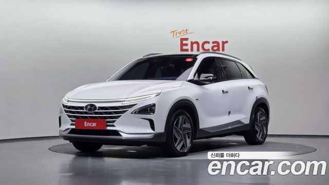 Hyundai Nexo Premium, 2018