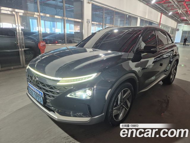 Hyundai Nexo Premium, 2019