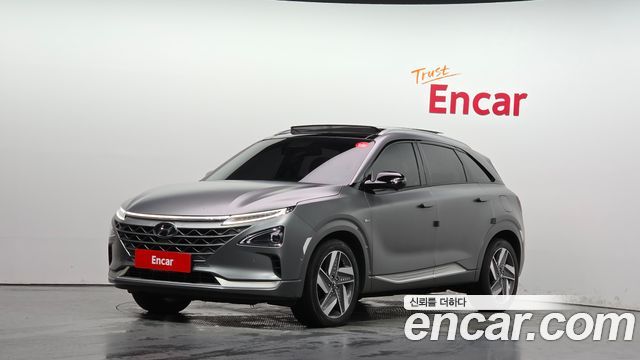 Hyundai Nexo Premium, 2020
