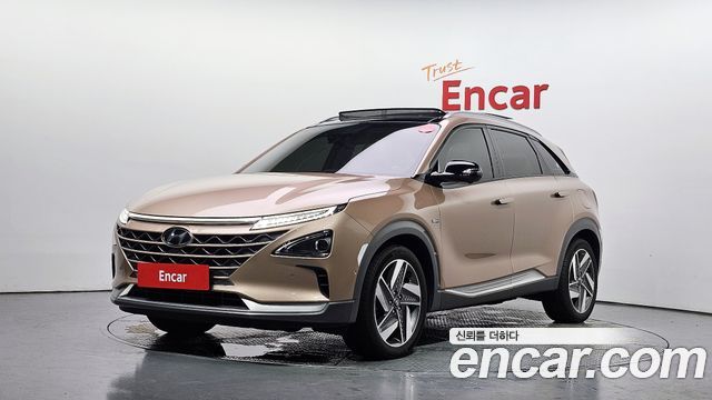 Hyundai Nexo Premium, 2018