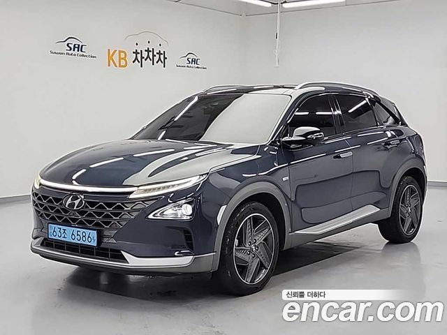 Hyundai Nexo Premium, 2019