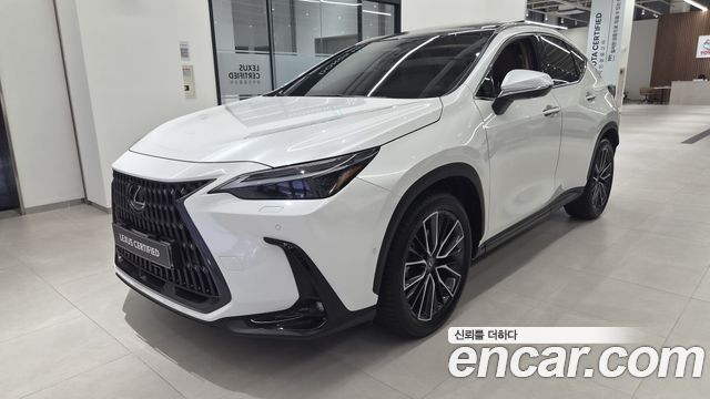 Lexus NX Luxury, 2023