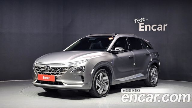 Hyundai Nexo Premium, 2020