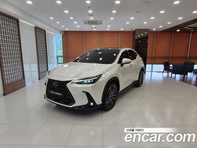 Lexus NX Luxury, 2022