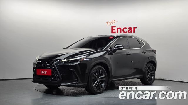Lexus NX Premium, 2024