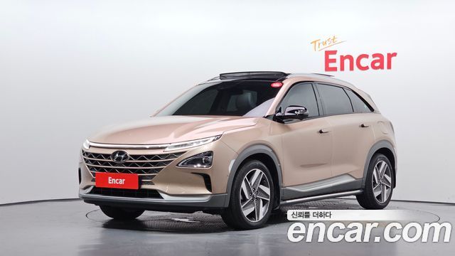 Hyundai Nexo Premium, 2021