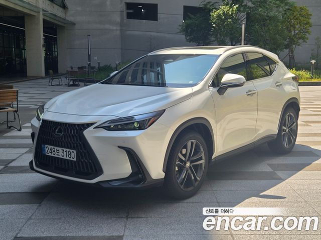 Lexus NX Premium, 2025