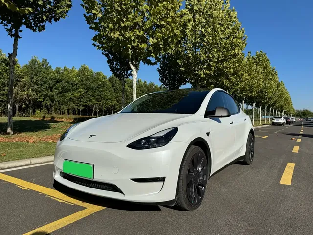 Tesla Model Y 2022 Performance High-Performance All-Wheel Drive Version