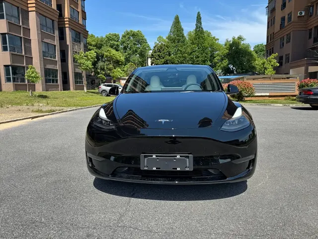 Tesla Model Y 2021 Standard Range Rear-Wheel Drive