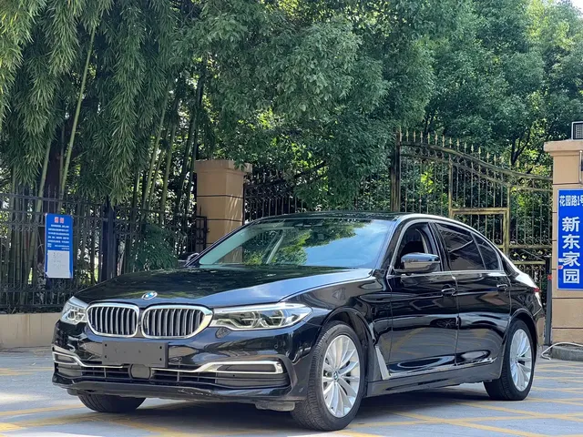 BMW 5 Series New Energy 2020 530Le Luxury Package