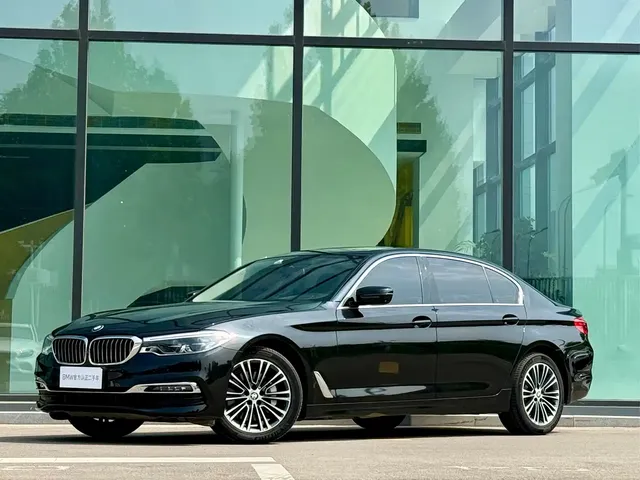 BMW 5 Series 2019 530Li Premium Luxury Package