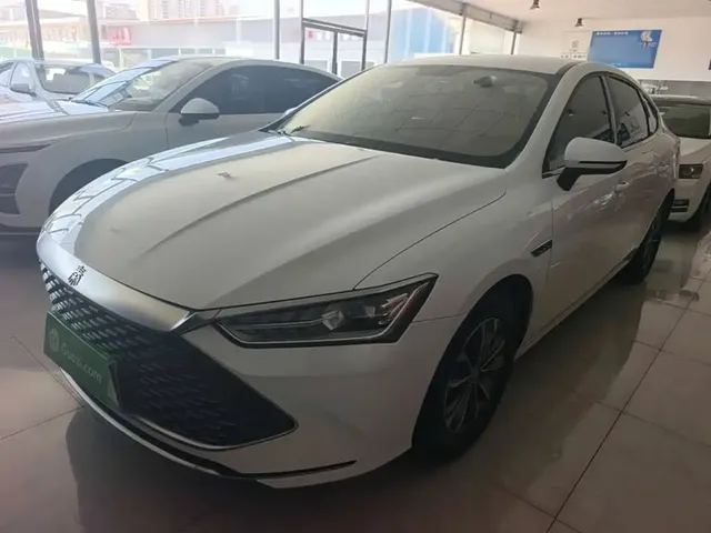 BYD Qin PLUS 2023 Champion Edition DM-i 55KM Leading