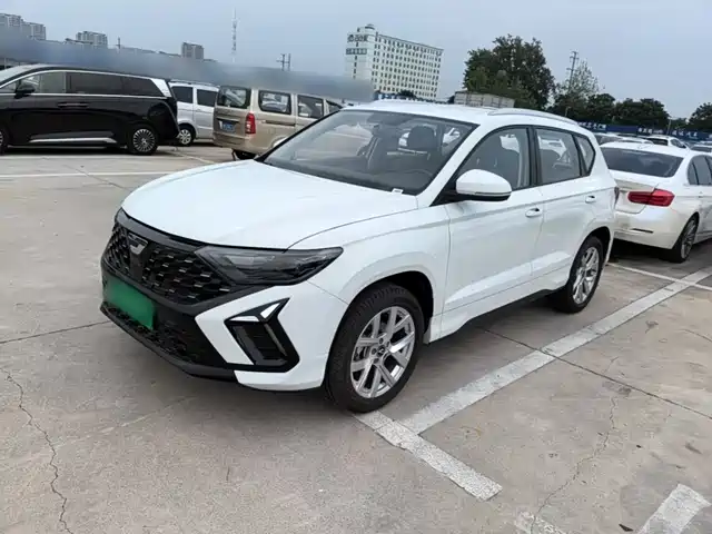 Jetta VS5 2024 5th Anniversary Edition 280TSI Manual Pioneer