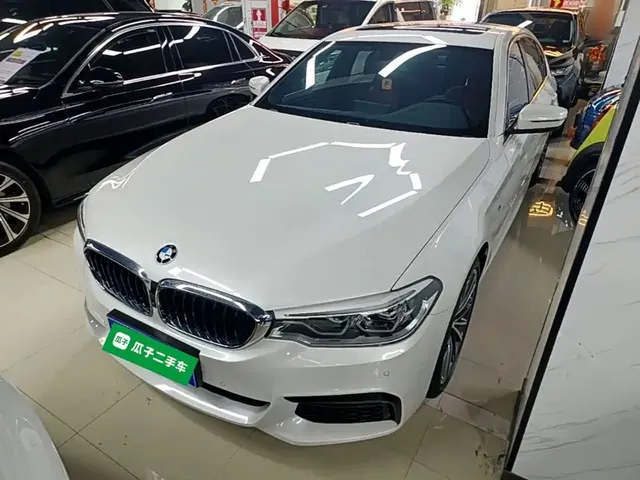 BMW 5 Series 2020 530Li Leading M Sport Package
