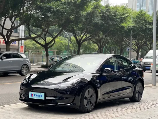Tesla Model 3 2021 Standard Range Rear-Wheel Drive Upgrade