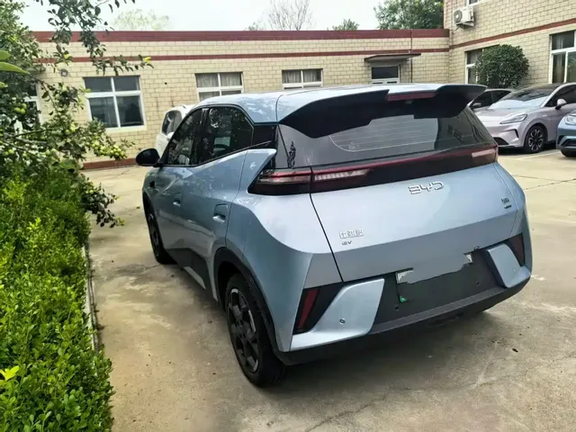 BYD Seagull, 2025