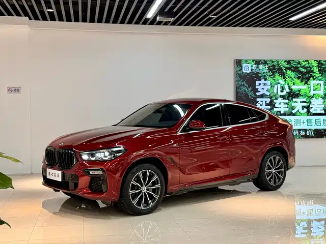 BMW X6 2020 xDrive30i M Sport Package