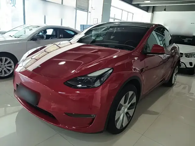 Tesla Model Y 2022 Rear-Wheel Drive Version