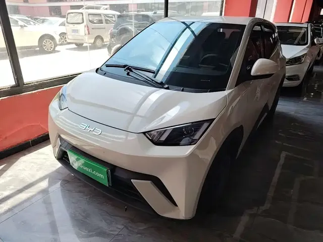 BYD Seagull 2024 Glory Edition 305km Vitality Edition