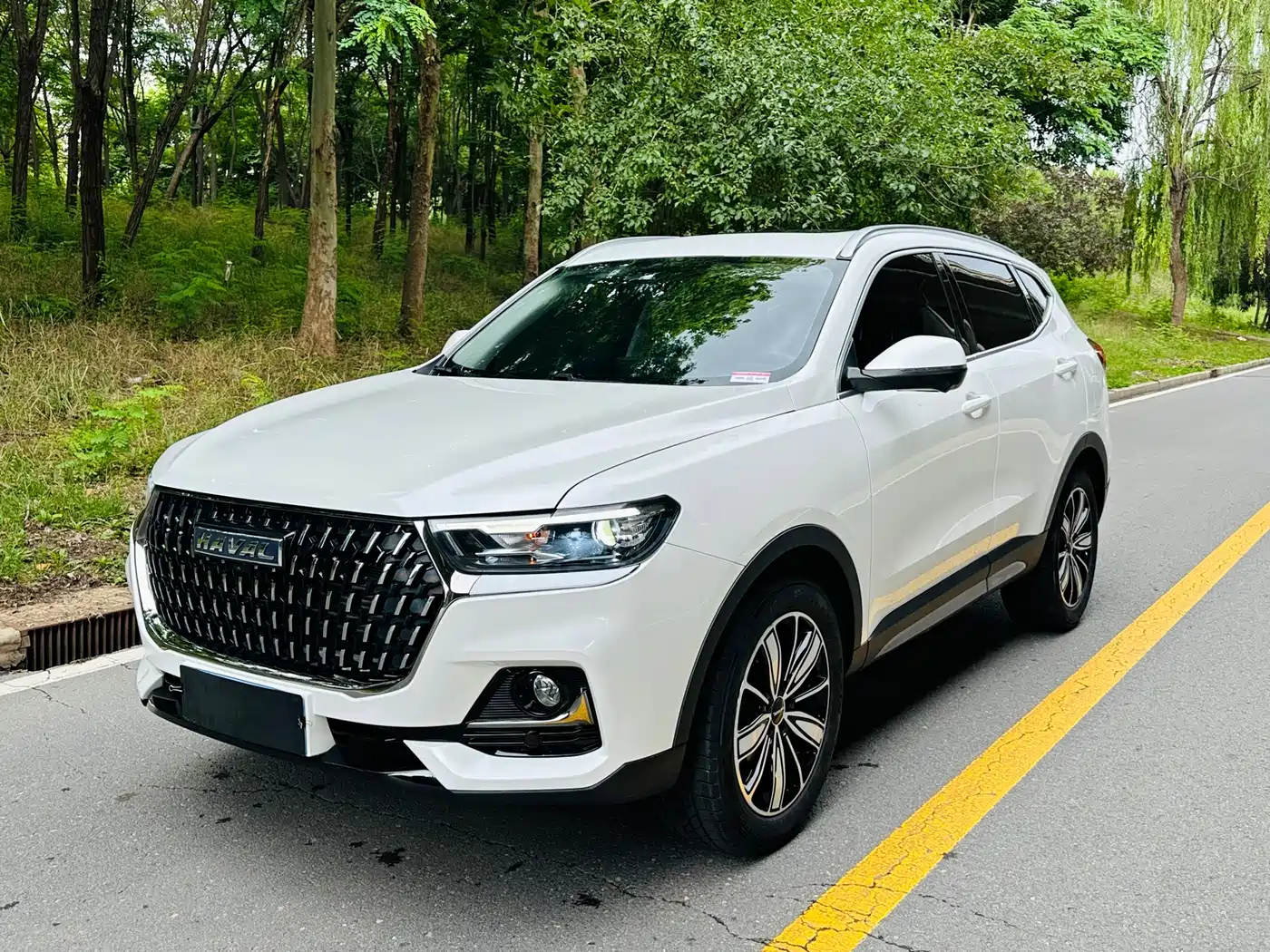 Haval H6 2023 National Trend Edition 1.5T Automatic Champion