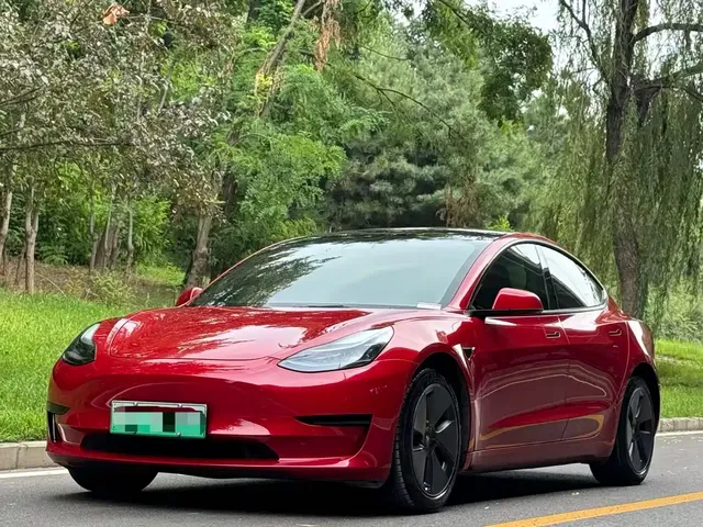 Tesla Model 3 2021 Standard Range Rear-Wheel Drive Upgrade