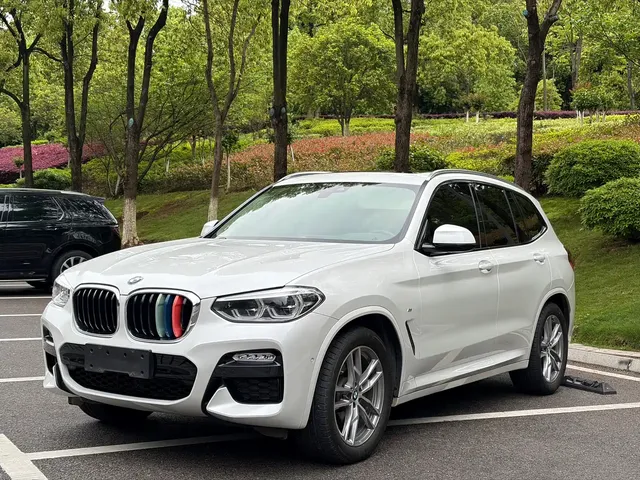 BMW X3 2018 xDrive25i M Sport Package China V