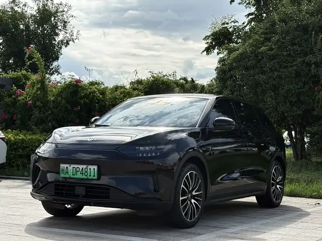 Leapmotor C11 2023 Pure Electric 500 Comfort Edition