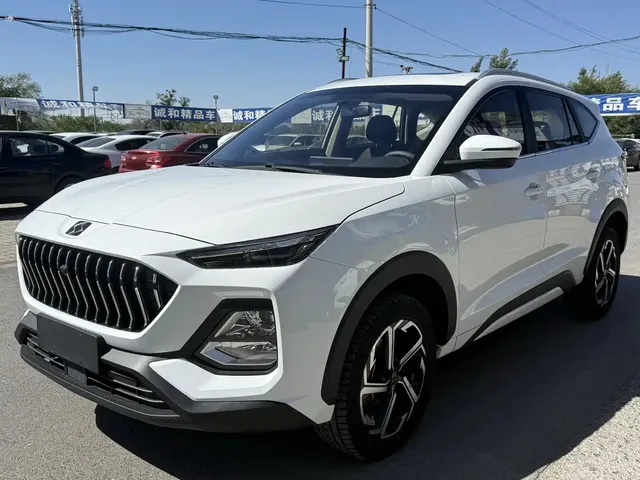 Sehol X8 2021 300T Manual Panorama Luxury 5-seater