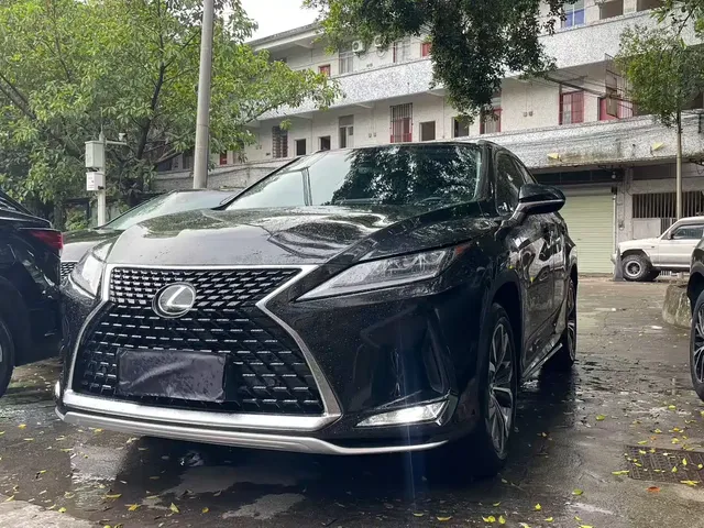 Lexus RX 2020 300 4WD Elegance Edition China VI