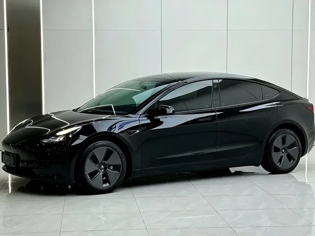 Tesla Model 3 2022 Model Rear-Wheel Drive Version