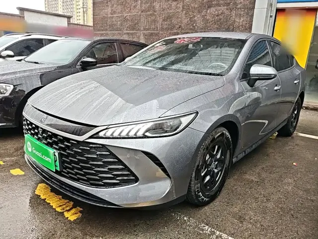 BYD Qin PLUS 2025 DM-i Smart Drive 55KM Leader