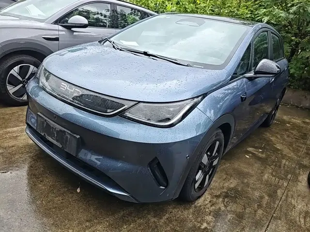 BYD Dolphin 2025 Smart Drive Edition 410km Fashion Version