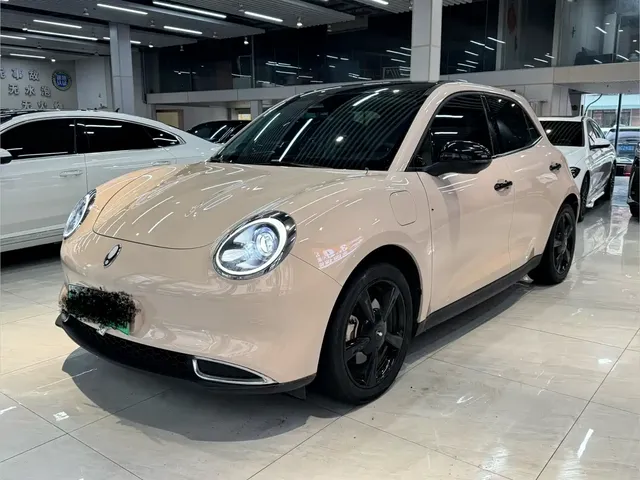 Ora Good Cat 2023 401km Standard Range Luxury LFP