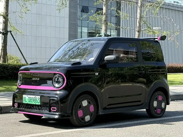 Geely Galaxy Panda 2024 200km Panda Kart