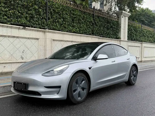 Tesla Model 3 2021 Standard Range Rear-Wheel Drive Upgrade 3D6