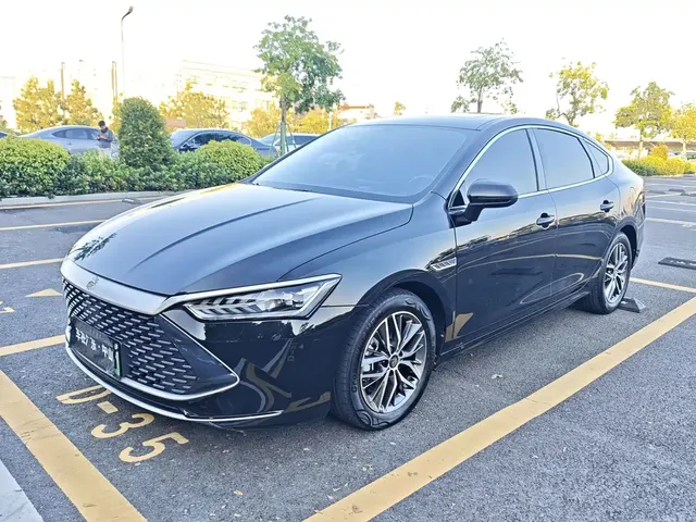 BYD Qin PLUS 2021 DM-i 55KM Flagship