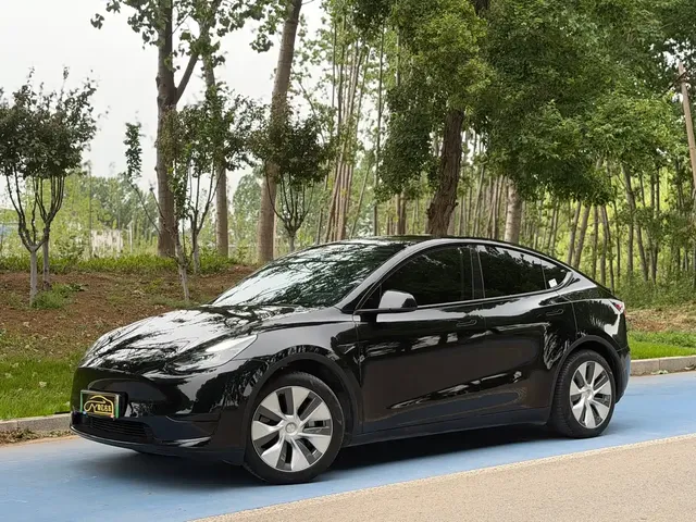 Tesla Model Y 2022 Rear-Wheel Drive Version
