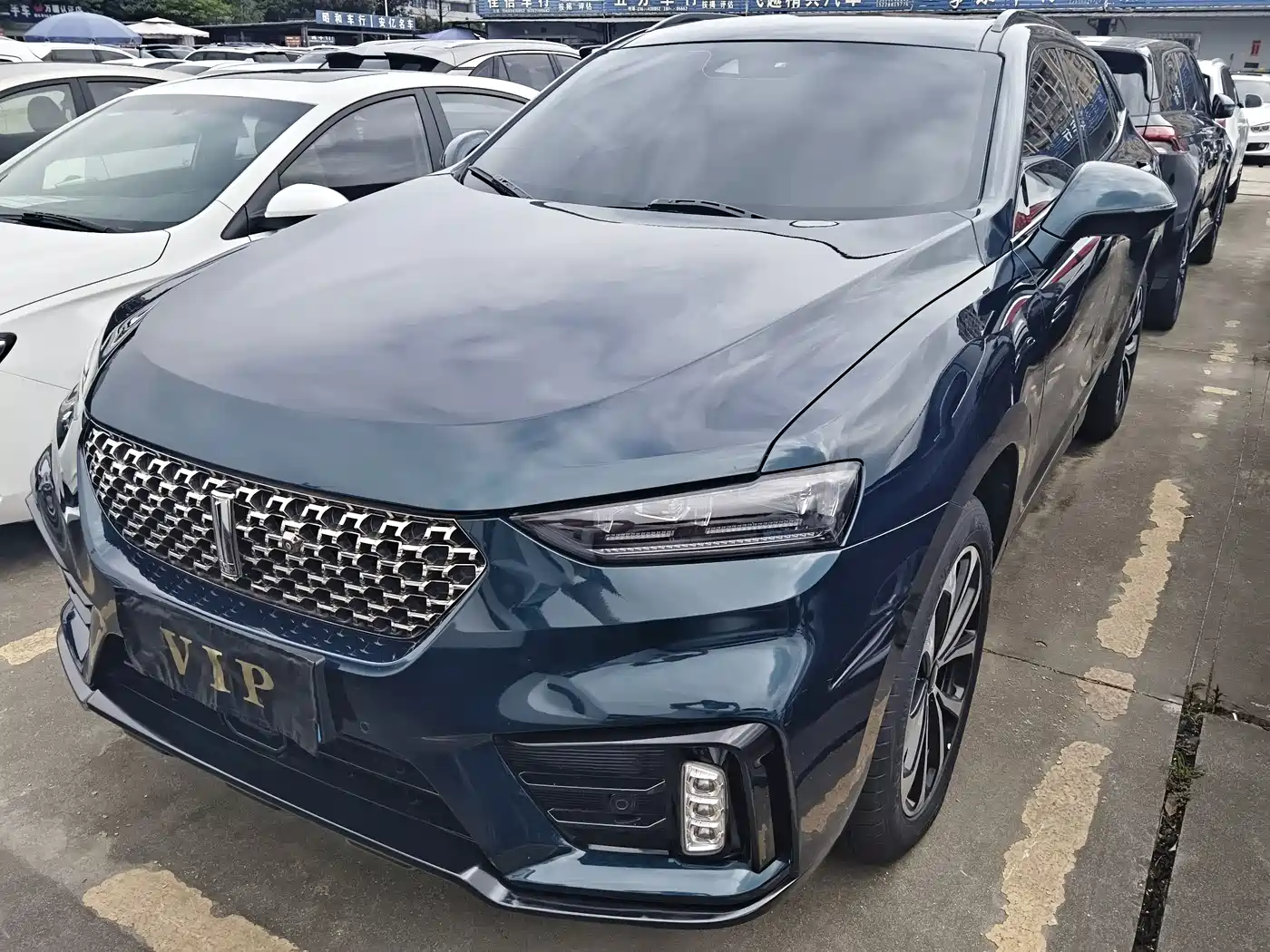 WEY VV7 2020 2.0T Luxury