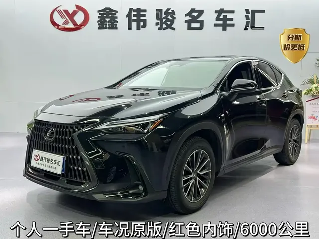 Lexus NX 2023 260 FWD Joy Creation Edition