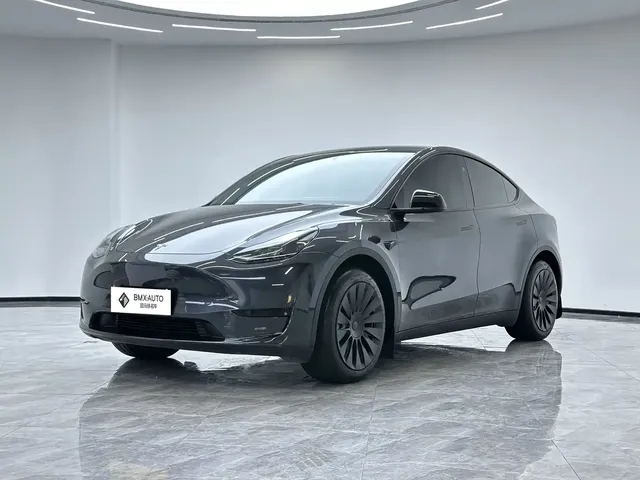 Tesla Model Y 2024 Rear-Wheel Drive Version